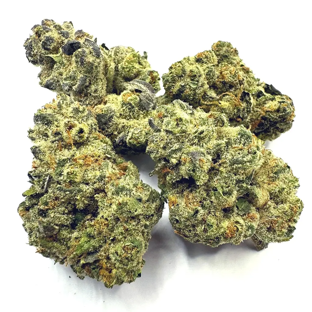 GMO-Cookies
